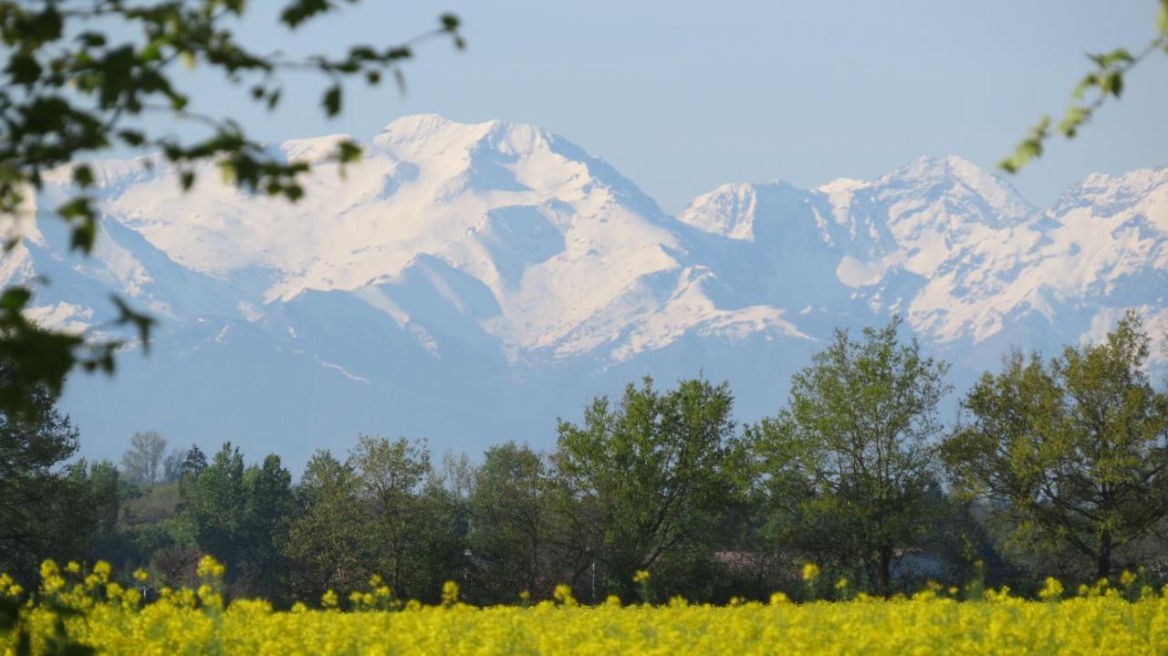 Gite La Tourasse Les Tournesols Lamasquere Екстер'єр фото